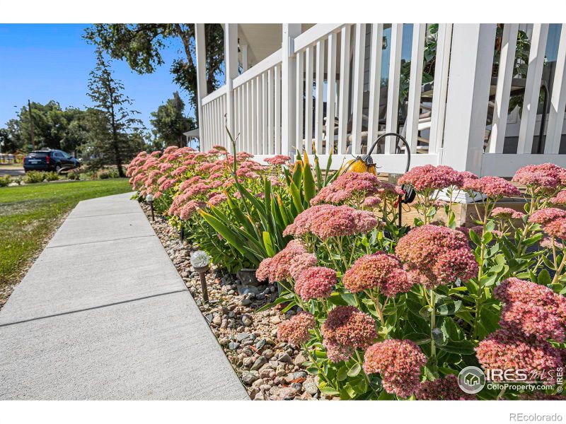 273 Grant Ave, Nunn, CO 80648