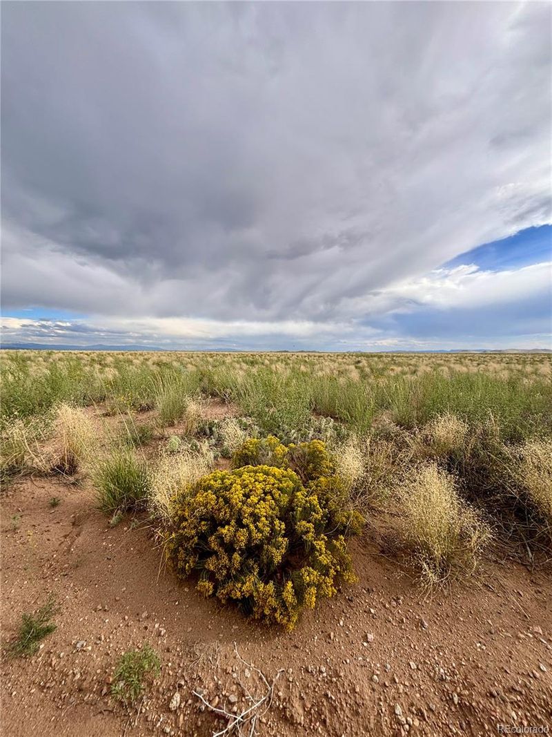 TBD Estrella Rd Lot 13, Blanca, CO 81153