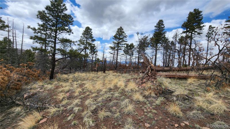 603 - 604 Leslie Loop, Fort Garland, CO 81133