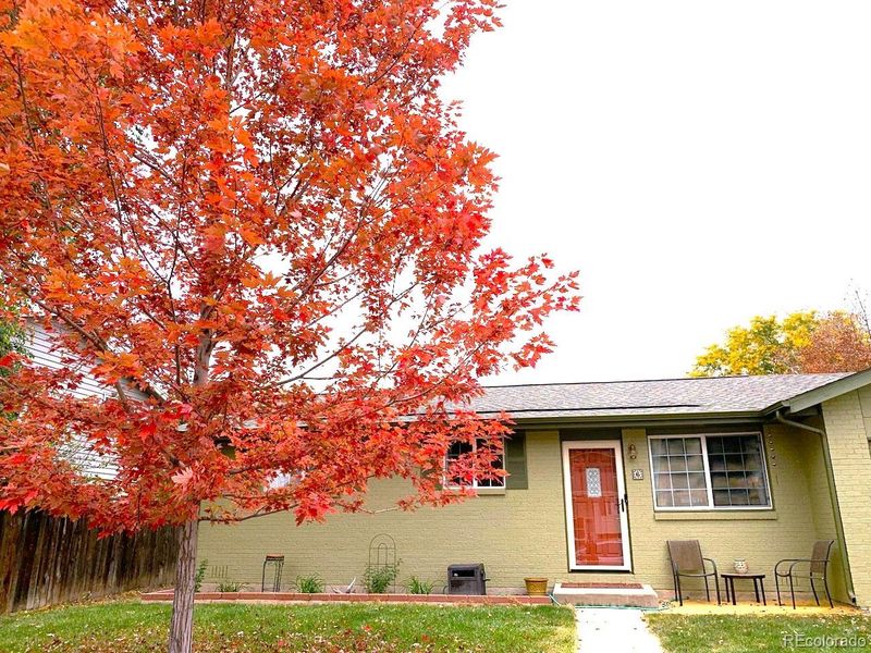 6 Juneau Pl, Longmont, CO 80504