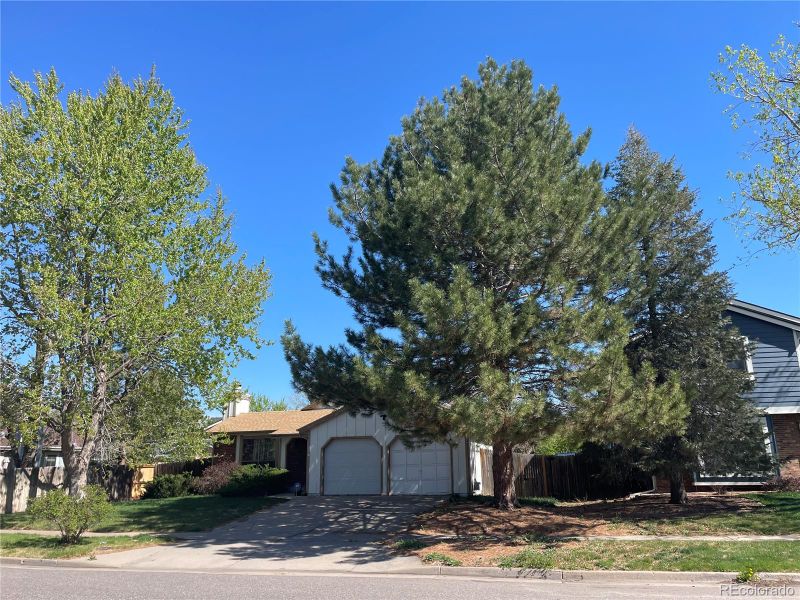 19291 E 45th Ave, Denver, CO 80249