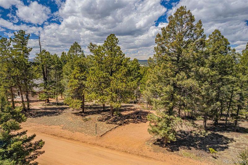 25 Eldorado Way, Florissant, CO 80816