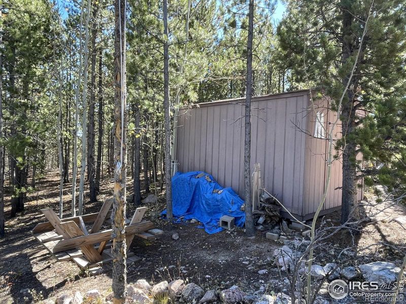 497 Mescalero Dr, Red Feather Lakes, CO 80545