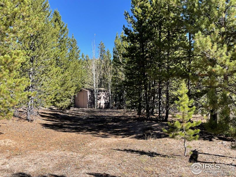 497 Mescalero Dr, Red Feather Lakes, CO 80545
