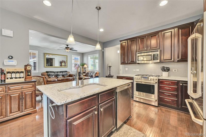 3689 Cadence Dr, Castle Rock, CO 80109