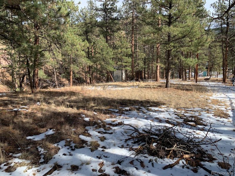 28457 Park Ave, Pine, CO 80470