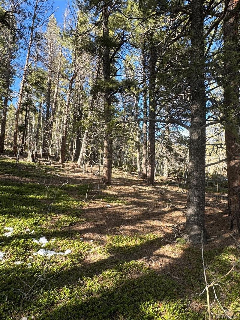 260 Missouri Gulch Rd, Black Hawk, CO 80422
