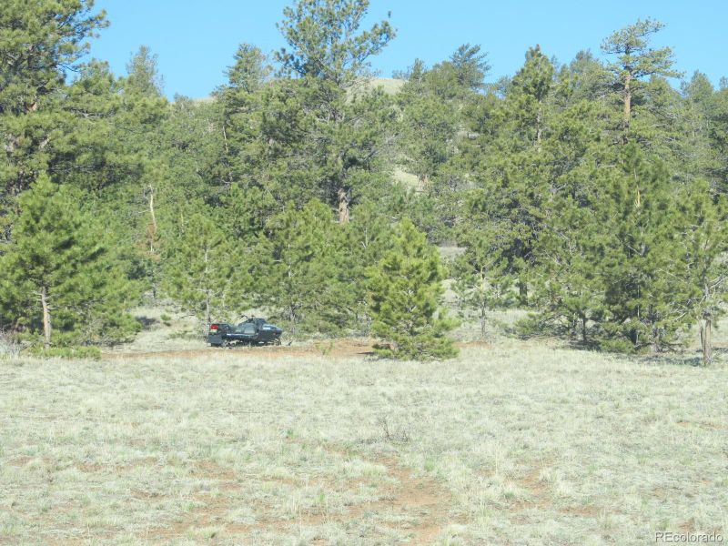 580 Oxford Dr Lot 01, Hartsel, CO 80449