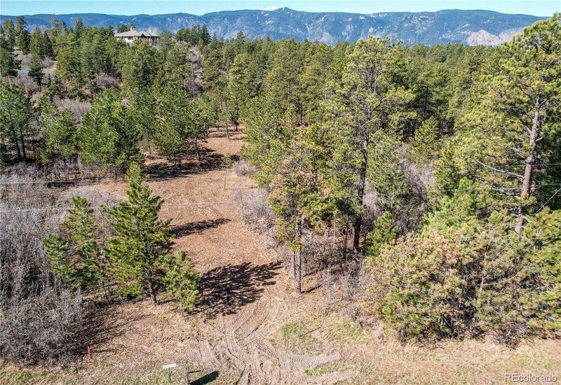 1802 Silverheels Dr, Larkspur, CO 80118