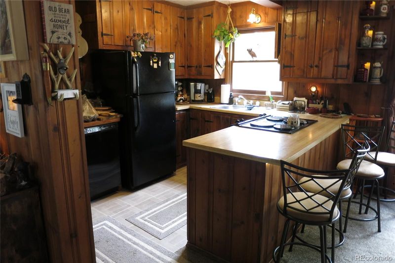 258 E Dory Dr, Black Hawk, CO 80422