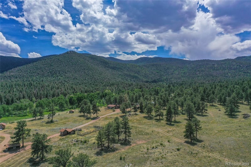 1410 County Road 90, Lake George, CO 80827