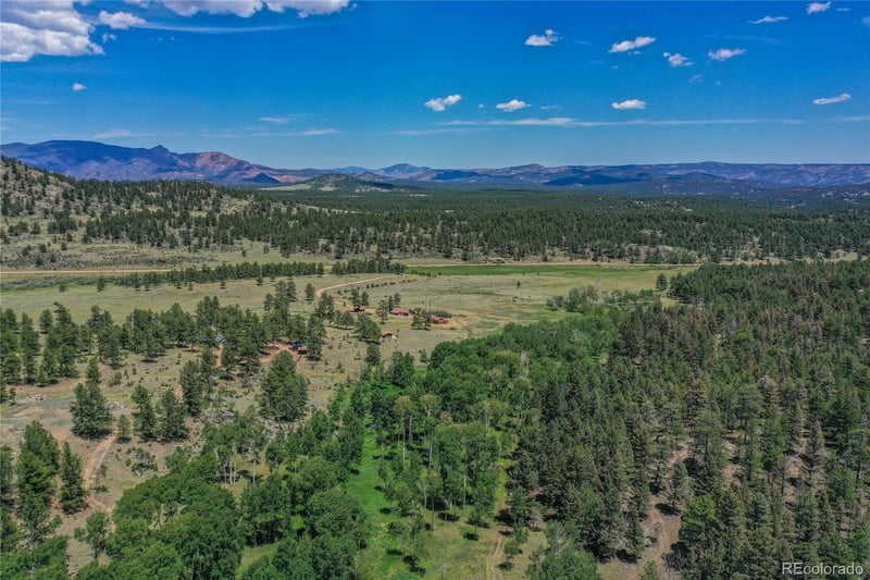 1410 County Road 90, Lake George, CO 80827