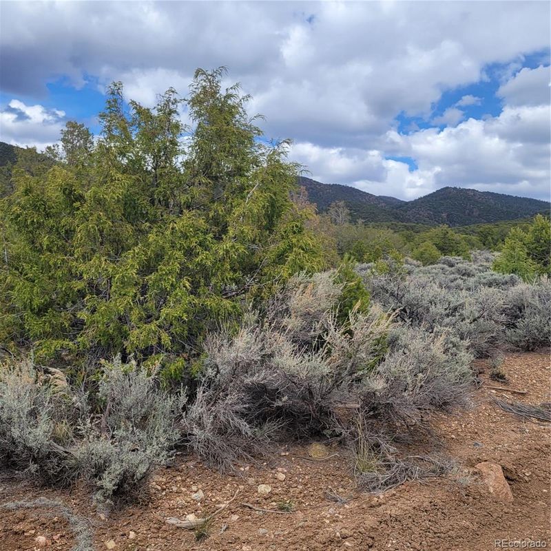 1577 Dunn Rd, Fort Garland, CO 81133