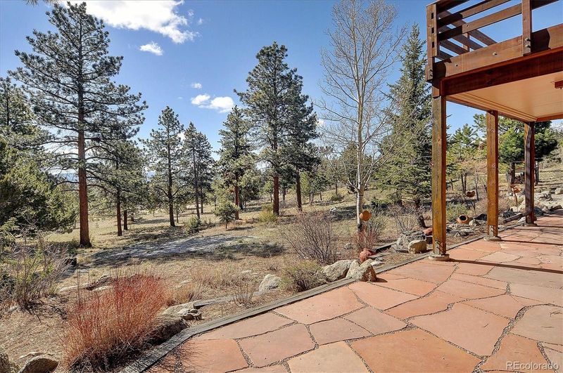 30477 Timberline Dr, Buena Vista, CO 81211