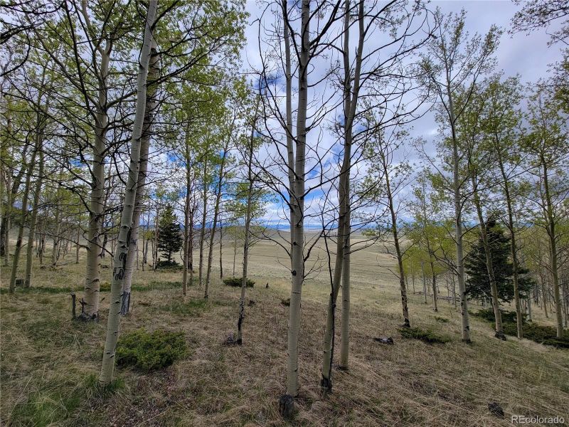 0 Kasihta Trl, Hartsel, CO 80449