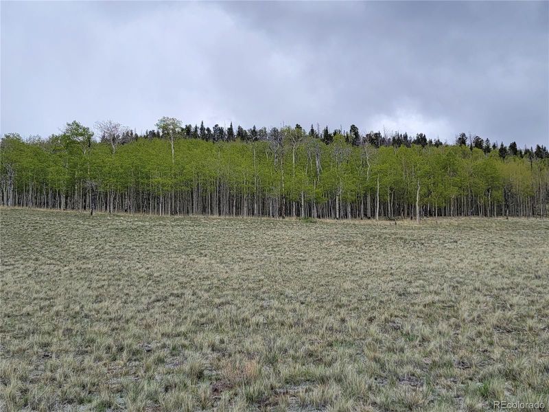 0 Kasihta Trl, Hartsel, CO 80449
