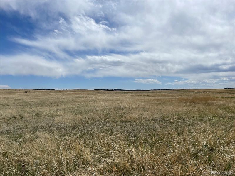 0 Wendling Trl Lot 7, Kiowa, CO 80117