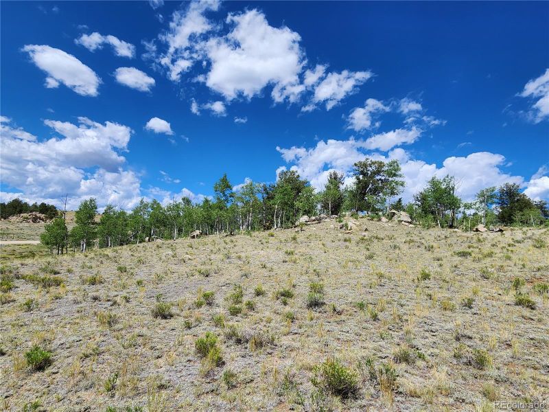 2596 Ute Tc Lot 387, Hartsel, CO 80449