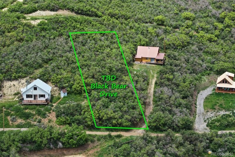 000 Black Bear Dr, Collbran, CO 81624