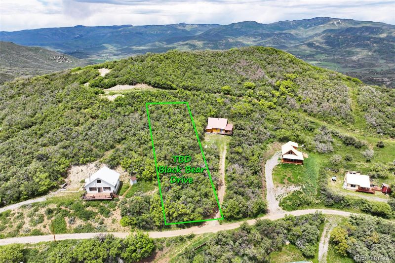 000 Black Bear Dr, Collbran, CO 81624