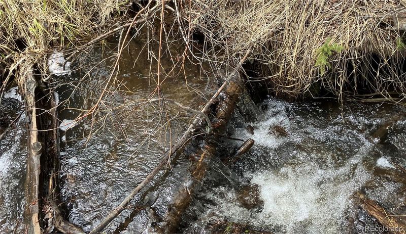 3 Forest Service 409 2d Rd, Black Hawk, CO 80422