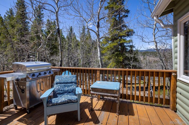 113 Wallens Pl, Black Hawk, CO 80422