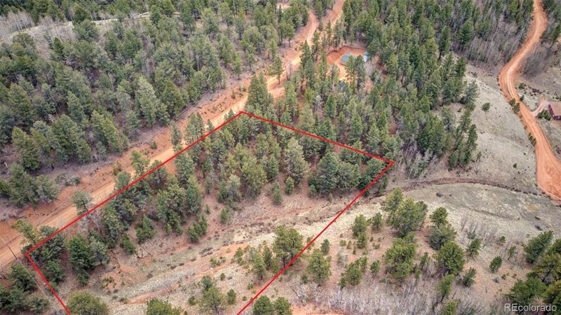221 Valley Rd, Divide, CO 80814