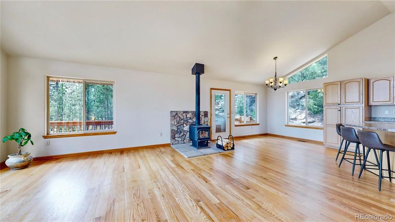 365 Holmes Gulch Rd, Bailey, CO 80421