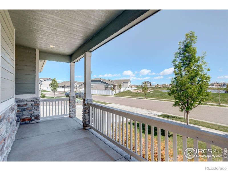 1129 Ibex Dr, Severance, CO 80550