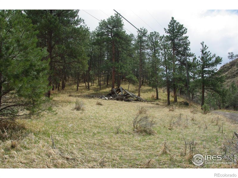 0 Tracy Trl, Loveland, CO 80537