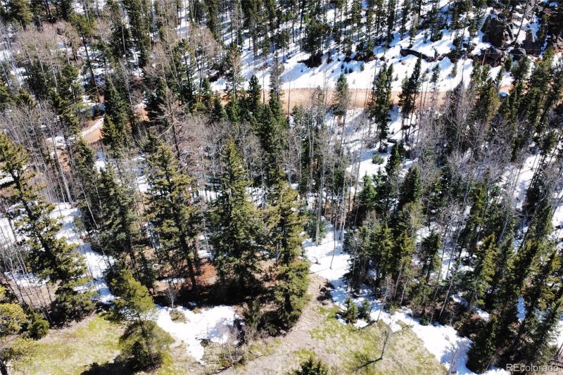 3256 N Mountain Estates Rd, Florissant, CO 80816