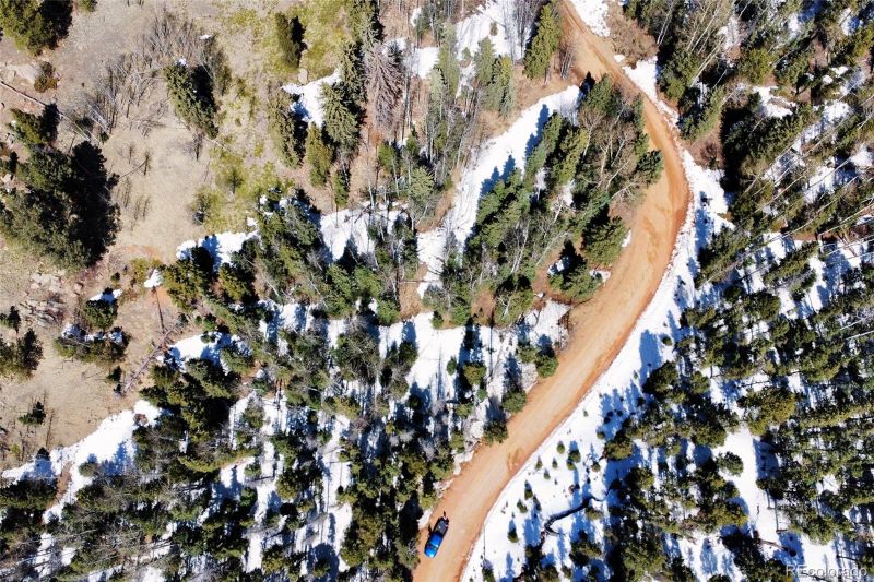 3256 N Mountain Estates Rd, Florissant, CO 80816