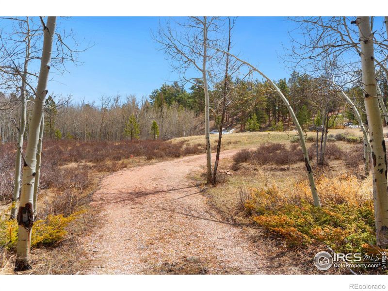 351 Neosho Trl, Red Feather Lakes, CO 80545