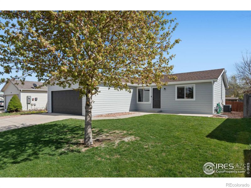 3813 Hamilton Ave, Wellington, CO 80549