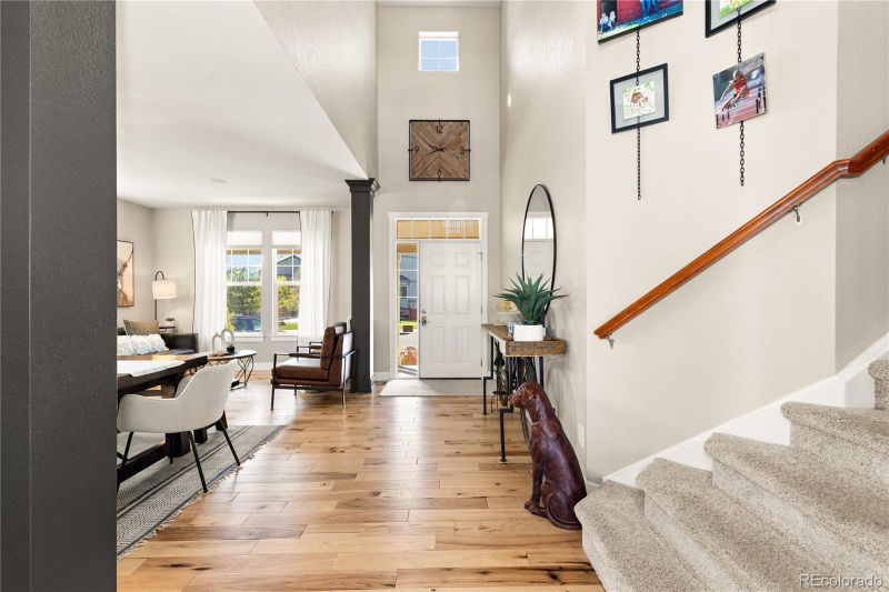 497 Scottish Pl, Castle Rock, CO 80104