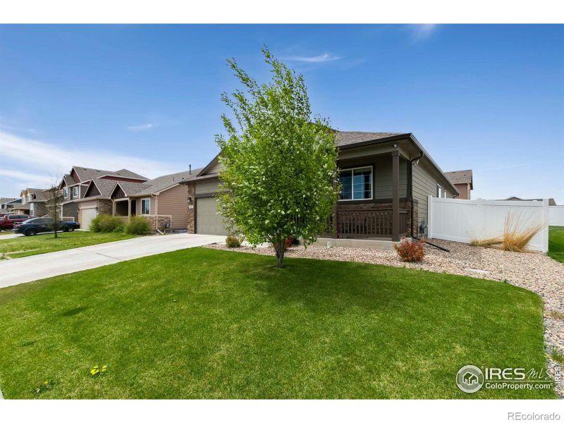 7557 Back Stretch Dr, Wellington, CO 80549