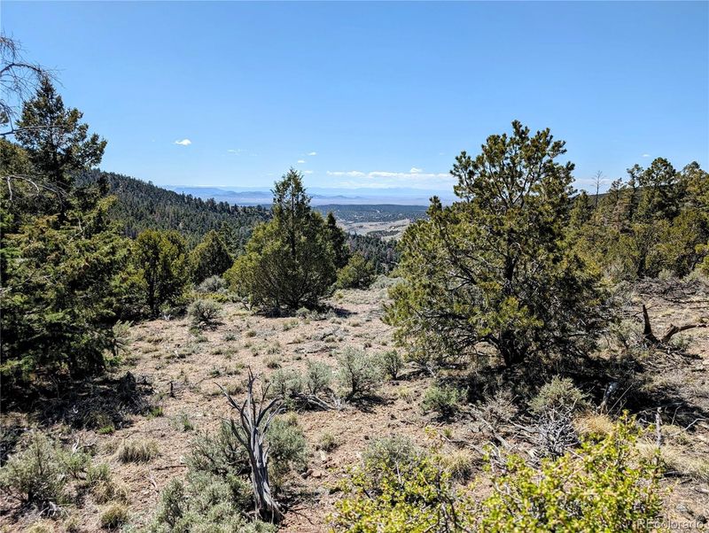 Lot 6044 Wood Rd, Fort Garland, CO 81133