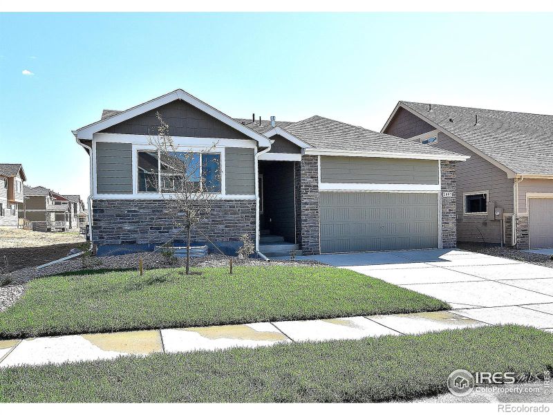 2313 Golden Way, Windsor, CO 80550