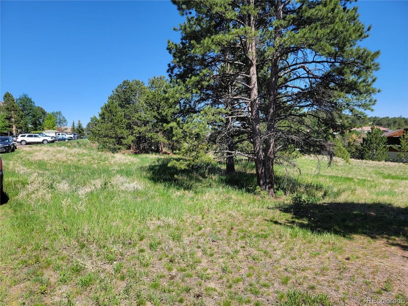31720 Rocky Village Dr, Evergreen, CO 80439