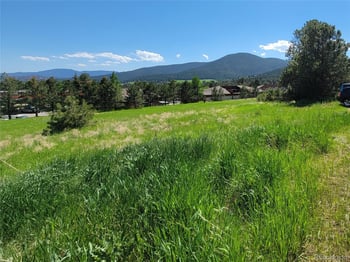 31720 Rocky Village Dr, Evergreen, CO 80439