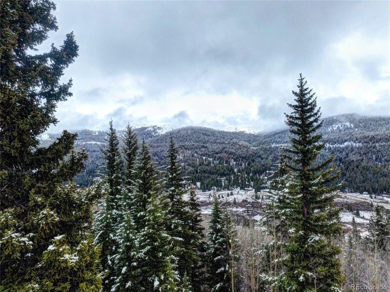 493 Mine Dump Rd, Alma, CO 80420
