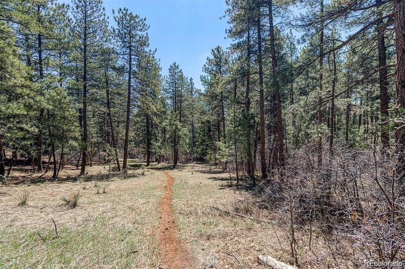 8173 Bannock Dr, Larkspur, CO 80118