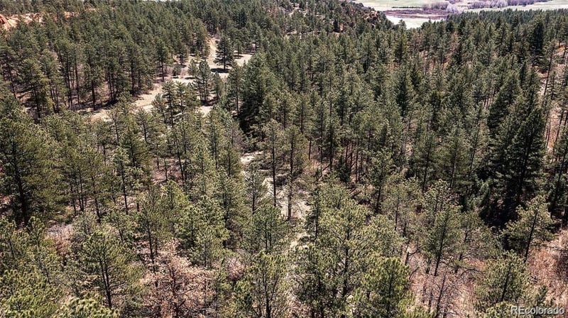 8173 Bannock Dr, Larkspur, CO 80118