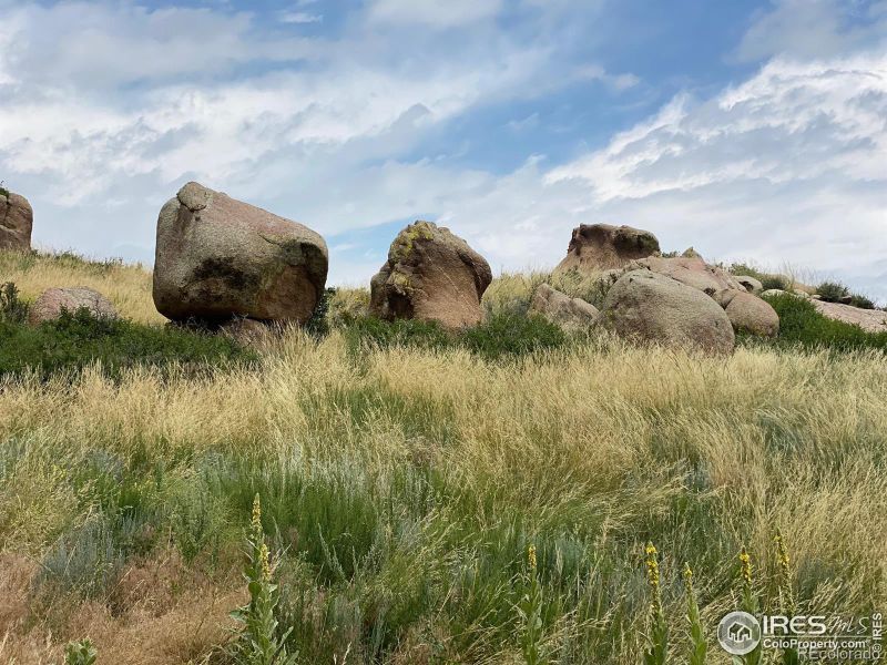 261 Bear Hollow Rd, Laporte, CO 80535