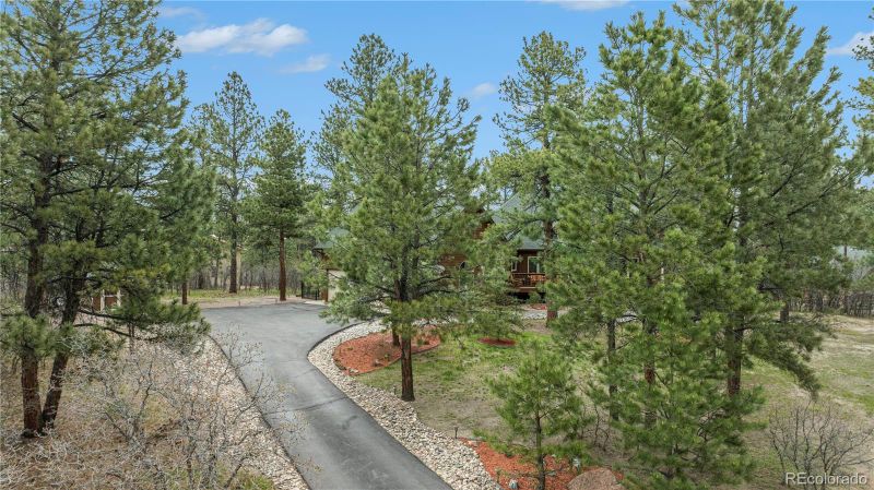 7149 Boreas Rd, Larkspur, CO 80118