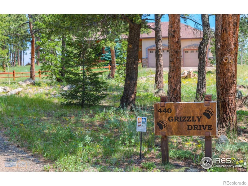 440 Grizzly Dr, Ward, CO 80481