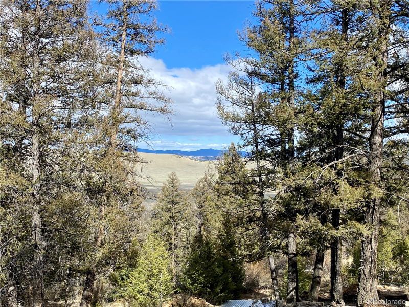 406 Middle Fork Vi Lot 371, Fairplay, CO 80440