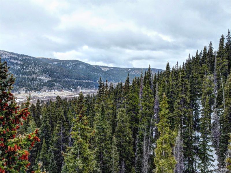 491 Mine Dump Rd, Alma, CO 80420