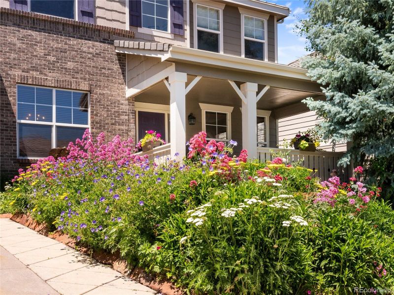 3387 Springbriar Dr, Castle Rock, CO 80109