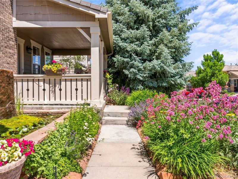 3387 Springbriar Dr, Castle Rock, CO 80109